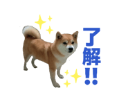 833798707