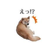 833798708