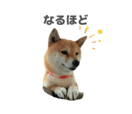 833798709