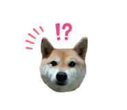 833798711