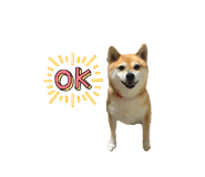 833798712