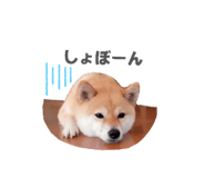 833798715