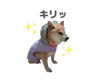 833798717