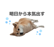 833798718