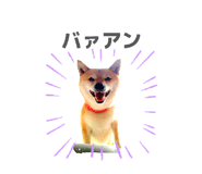 833798719