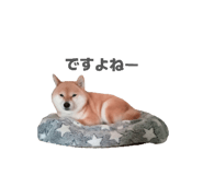 833798721