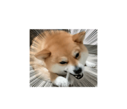 833798722
