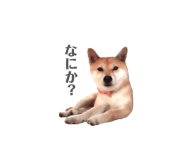 833798723