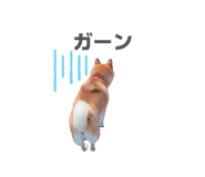 833798725