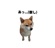 833798726
