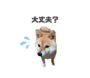 833798729