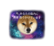 833798731
