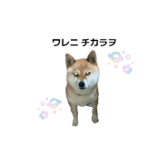 833798732