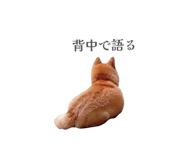 833798735