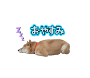 833798736