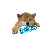 833801441