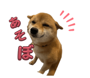 833801442