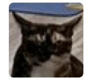 833805686