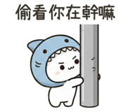 833805817
