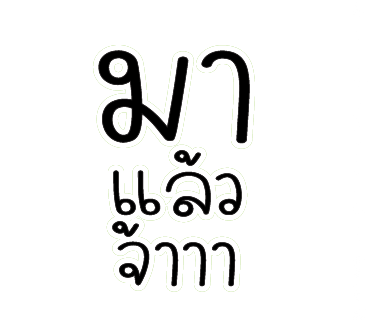 ลายที่ 13