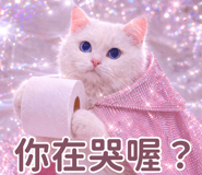 833809585