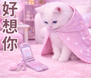 833809586