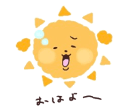 833810507