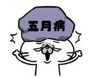 833816658