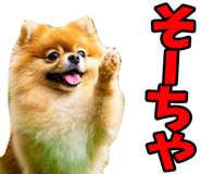833818673