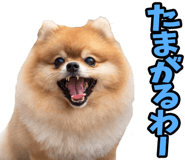 833818675