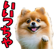 833818678