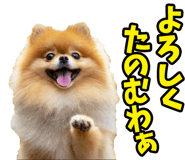 833818680