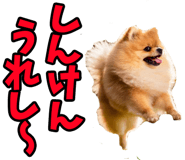 833818684