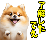 833818685
