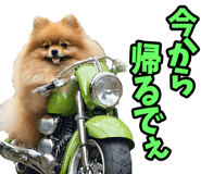 833818688