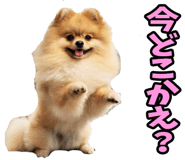 833818694