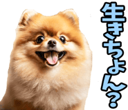 833818695