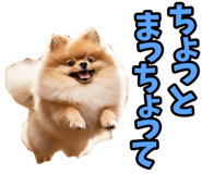 833818698