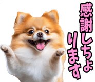 833818700