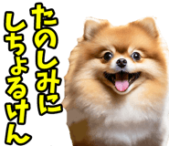 833818702