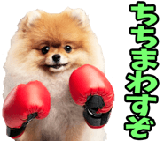 833818704