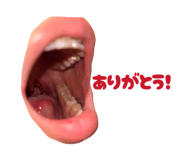 833823721