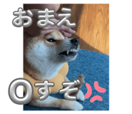833823903