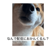 833823904