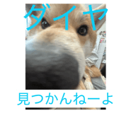 833823908