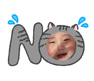 833837804
