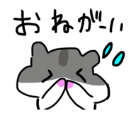 833839795
