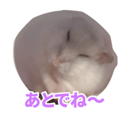 833869520