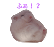 833869526
