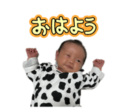 833870342